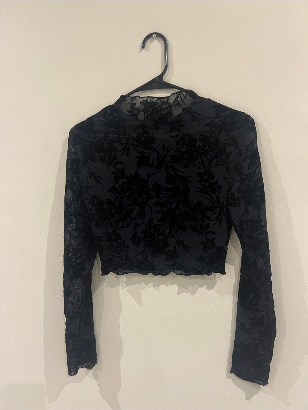 Black Burnout Velvet Floral Crop Long Sleeve